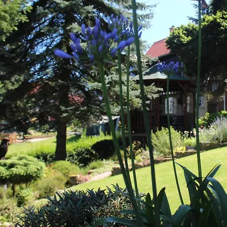 アパート Appartement's - Haus Karola バート・シャンダウ