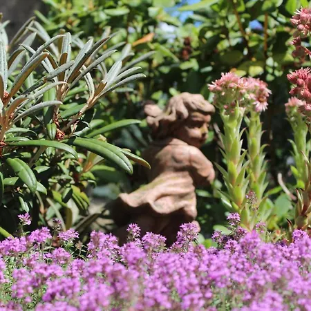 Appartement's - Haus Karola * バート・シャンダウ