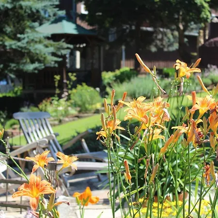 Appartement's - Haus Karola アパート *