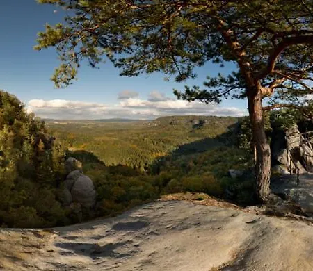 アパート Appartement's - Haus Karola バート・シャンダウ