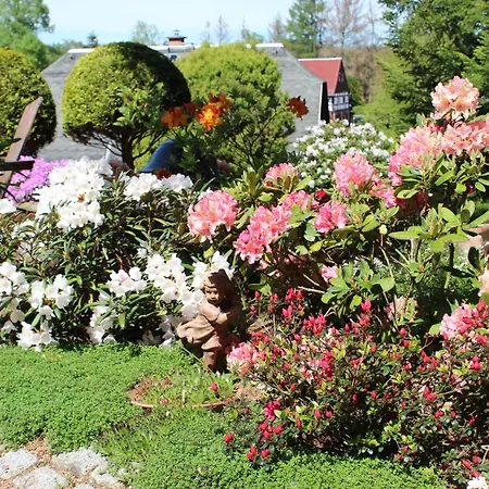 アパート Appartement's - Haus Karola バート・シャンダウ