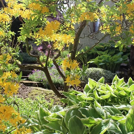 Appartement's - Haus Karola アパート バート・シャンダウ